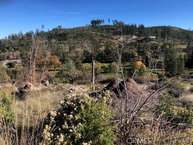 a view of flowers in a tree