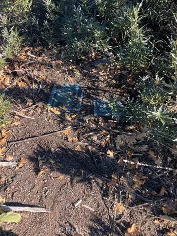 a view of street and with trees
