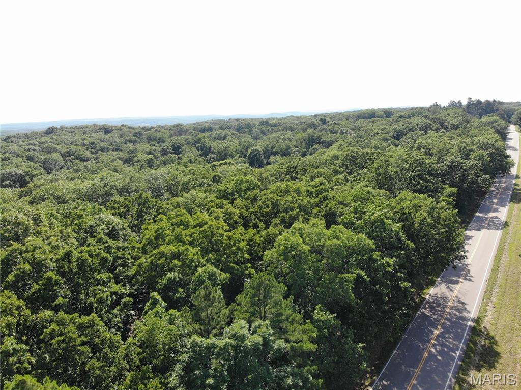 Tbb State Route North Bourbon, MO 65441 - Photo 6 of 21