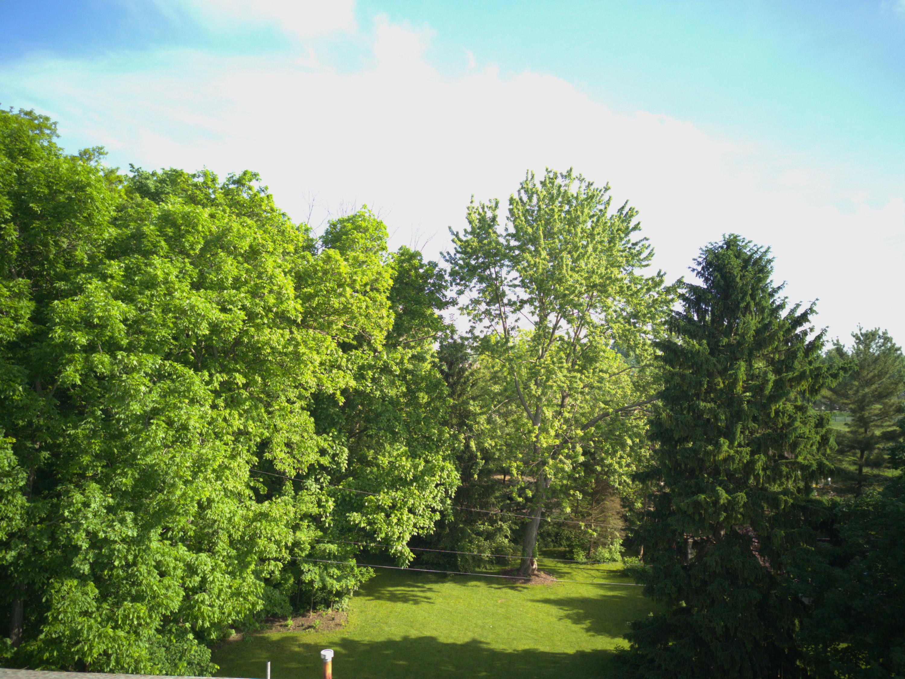 6624 Davis Road Hilliard, OH 43026 - Photo 40 of 50