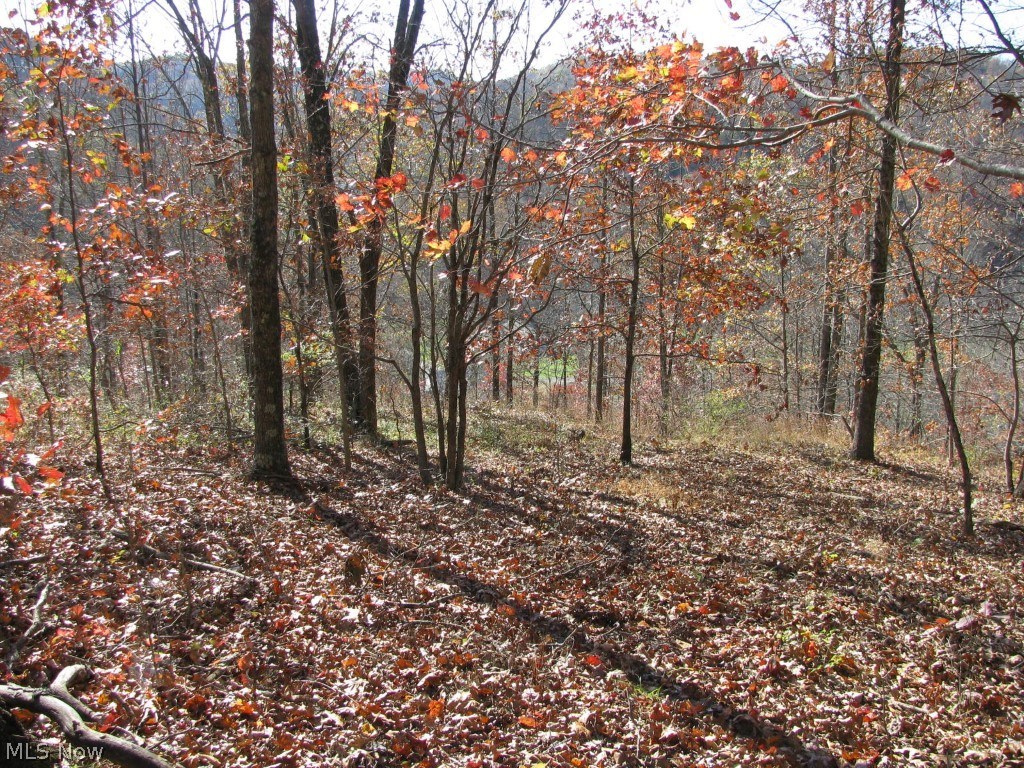 975 Hazelgreen Road Auburn, WV 26325 - Photo 15 of 20 Gallery Image 15