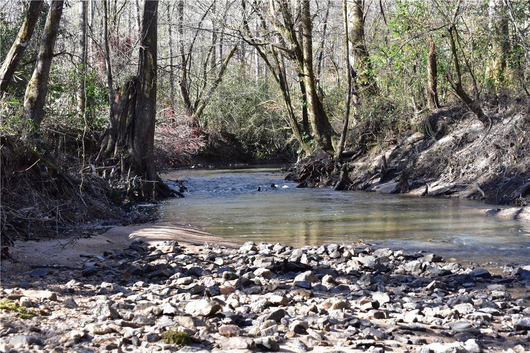 0 Double Bridge Ferry Road Eclectic, AL 36024 - Photo 1 of 11 Gallery Image 1