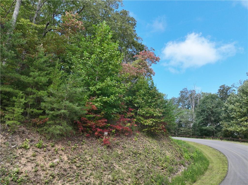 249 Andes Ridge Talking Rock, GA 30175 - Photo 19 of 20