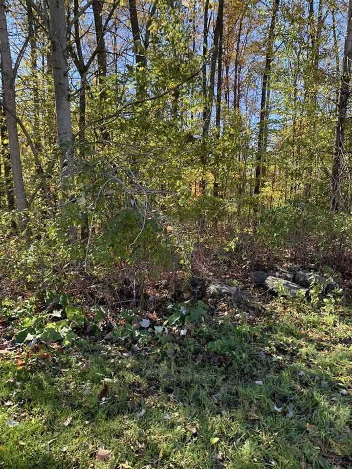 0 Stonebrook Lane Flushing, MI 48433 - Photo 5 of 7