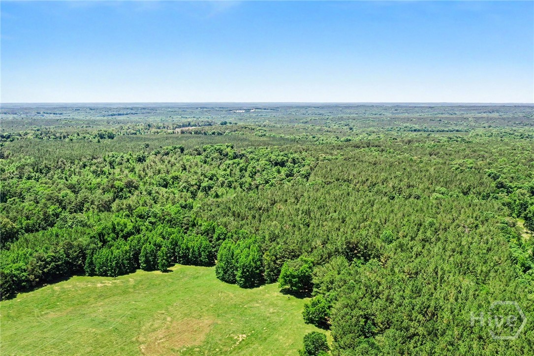 X0-x0 Court Ground Road Rayle, GA 30660 - Photo 11 of 15