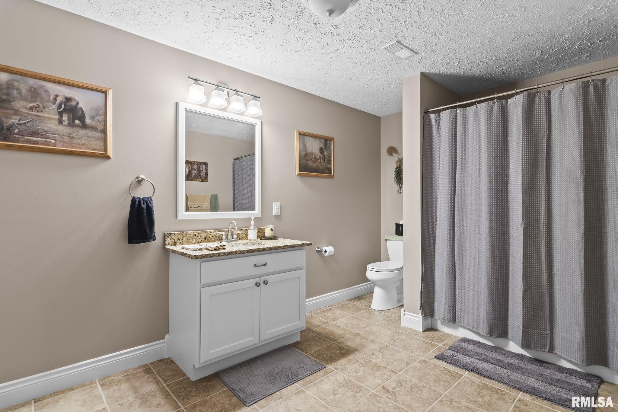 1115 Lost Tree Drive Sherman, IL 62684 - Photo 41 of 47