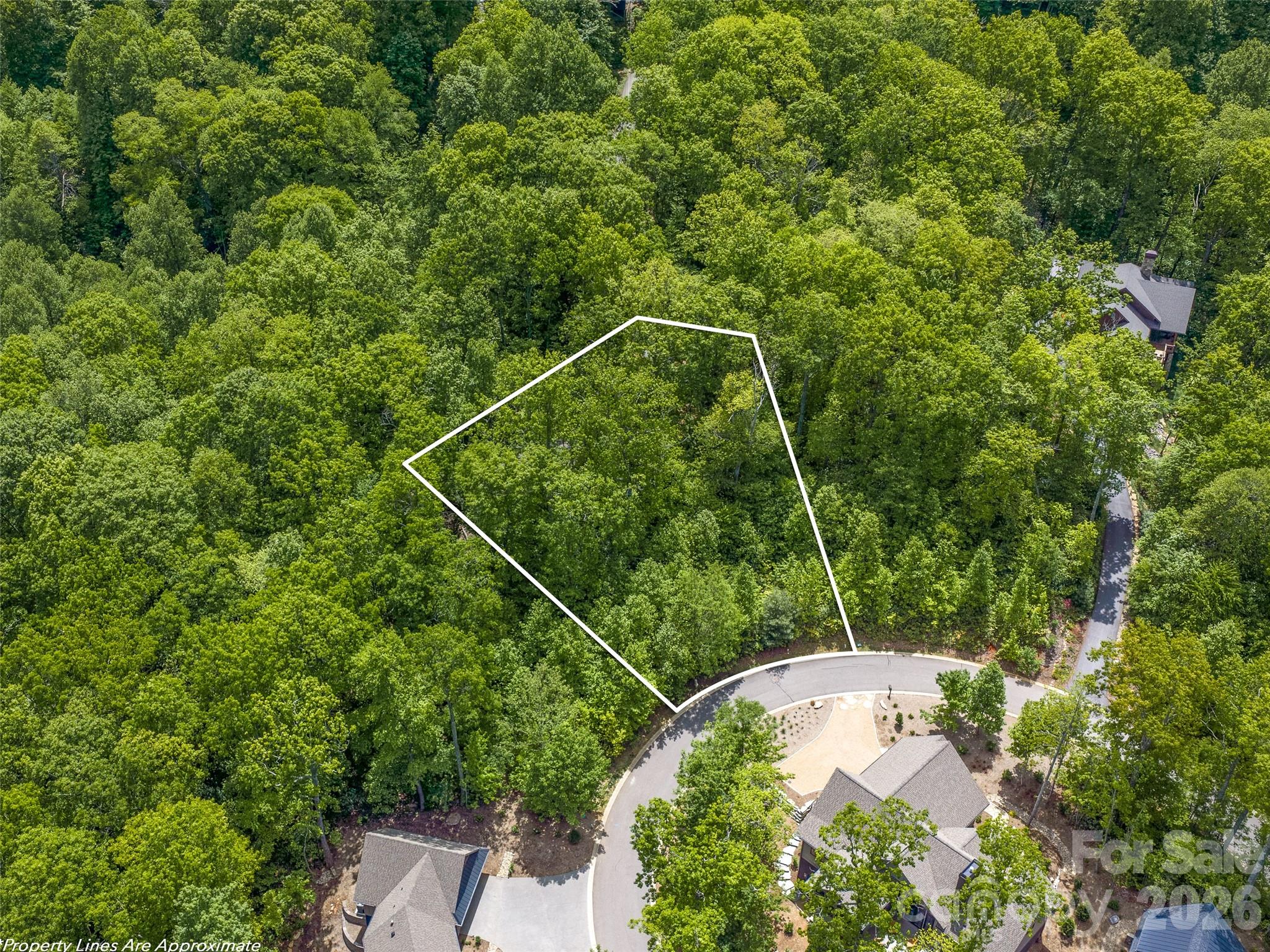 11 Crockett Ridge Road Black Mountain, NC 28711 - Photo 6 of 19