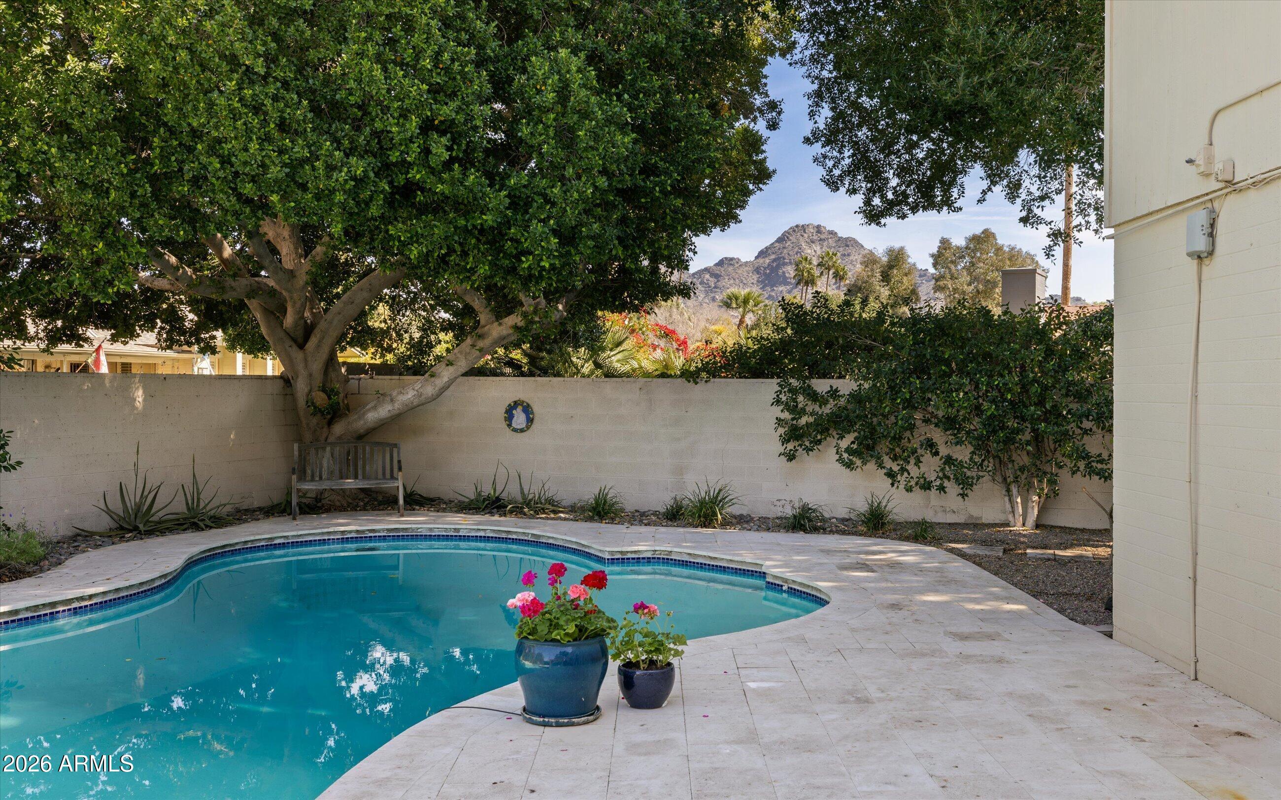 7142 North 14th Street Phoenix, AZ 85020 - Photo 3 of 6 Peak a boo