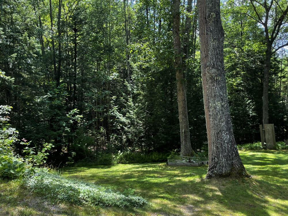 178 Lower Cross Road Nobleboro, ME 04555 - Photo 14 of 50 Backyard