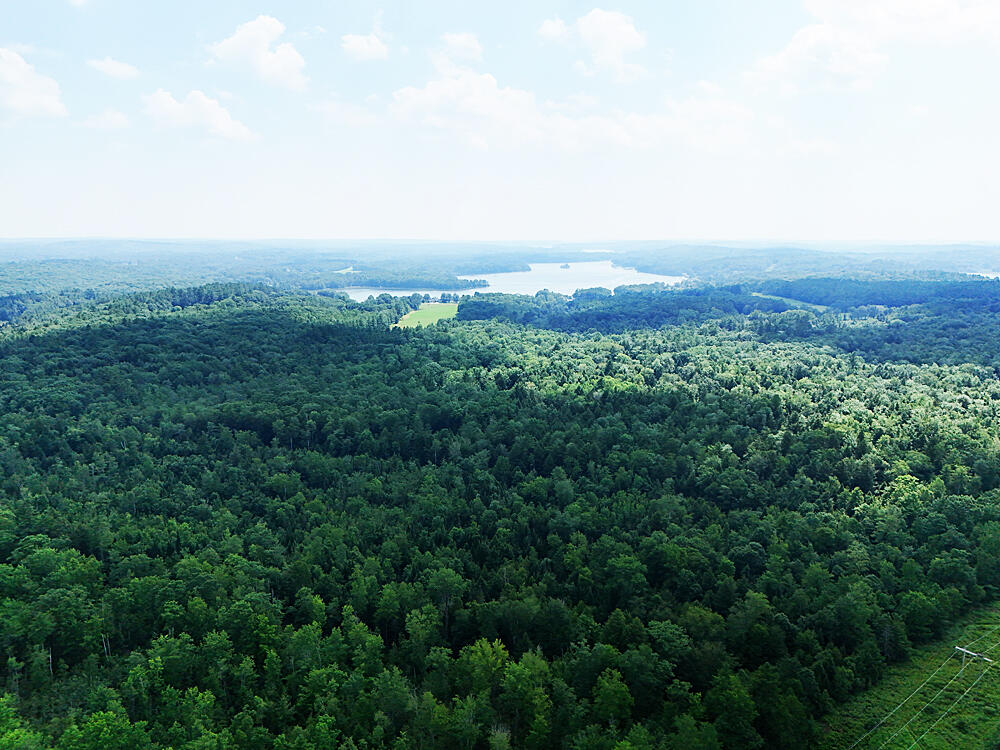 178 Lower Cross Road Nobleboro, ME 04555 - Photo 49 of 50 Forestland