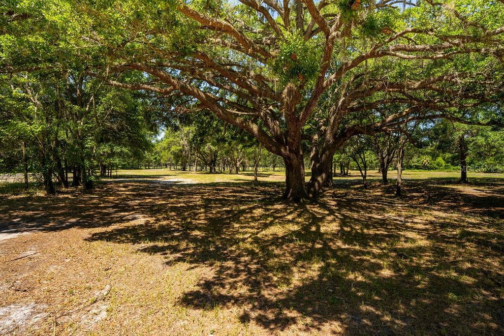 0 Miller Road Dade City, FL 33525 - Photo 3 of 6