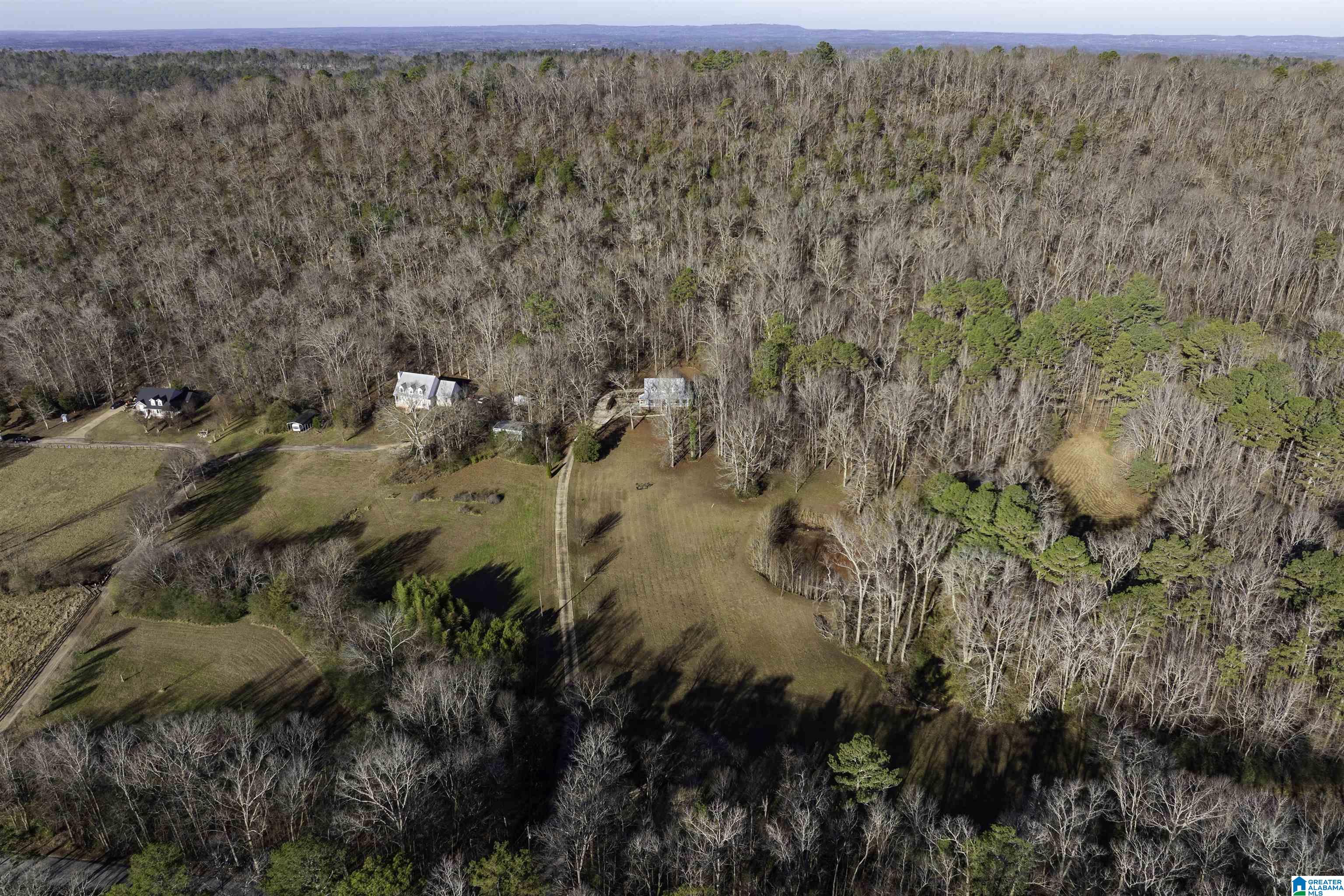 1775 Red Valley Road Remlap, AL 35133 - Photo 41 of 56