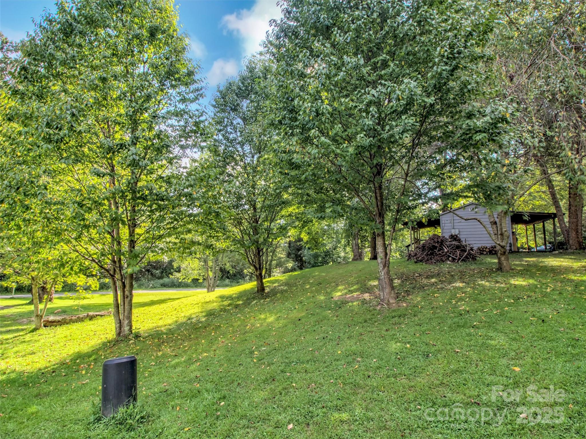 323 Jody Cove Road Canton, NC 28716 - Photo 22 of 28