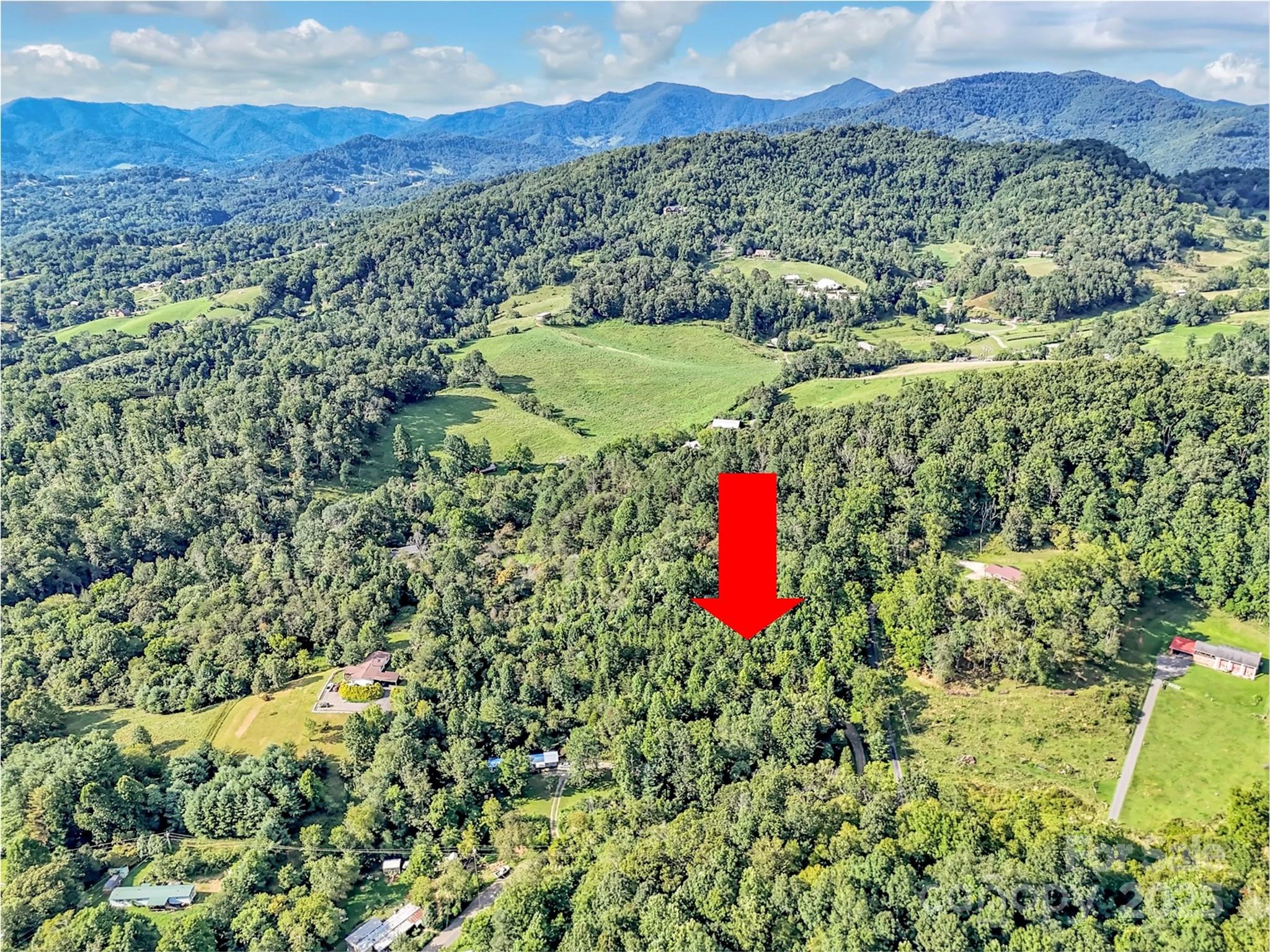 323 Jody Cove Road Canton, NC 28716 - Photo 3 of 28