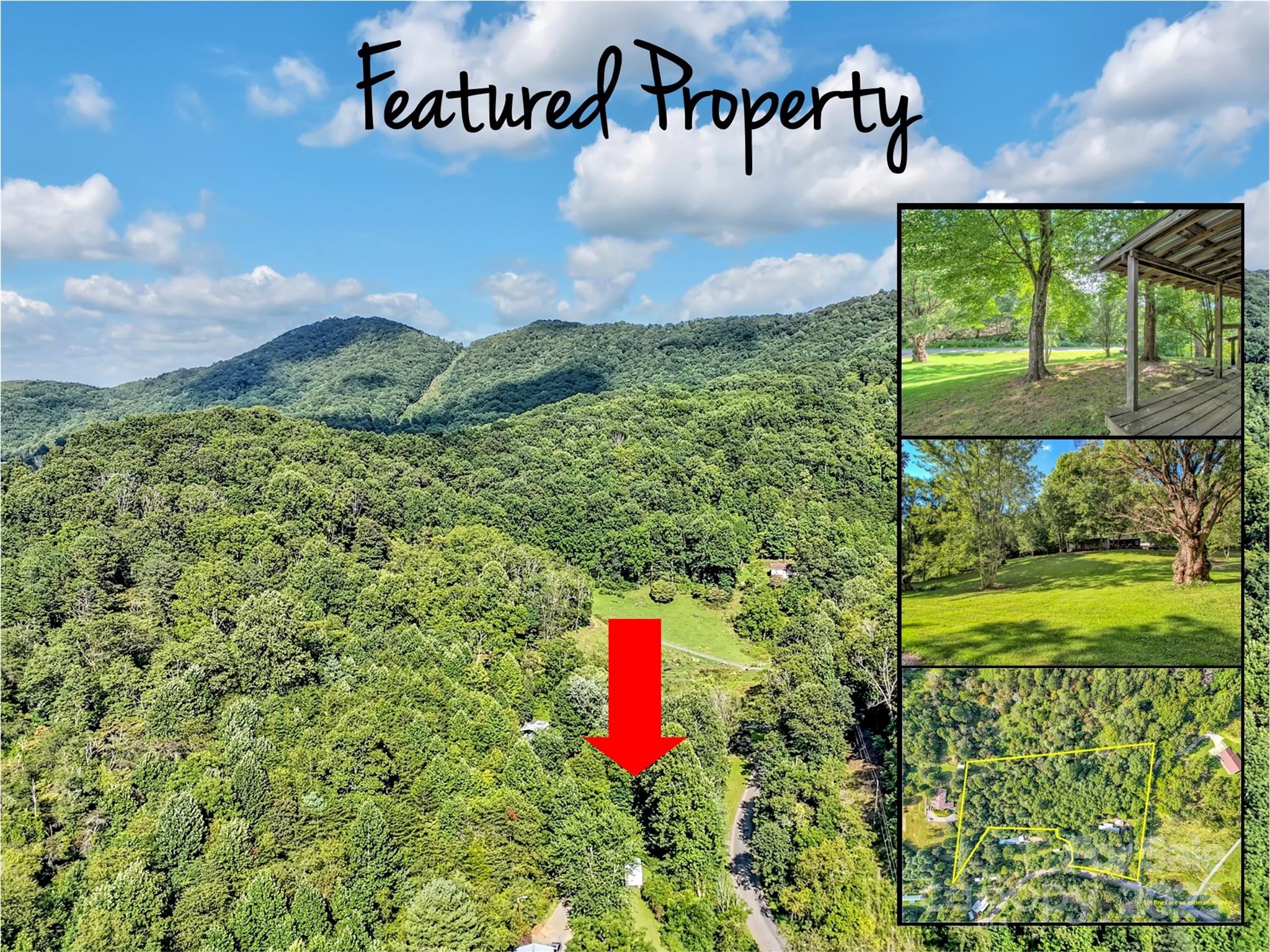 323 Jody Cove Road Canton, NC 28716 - Photo 5 of 28