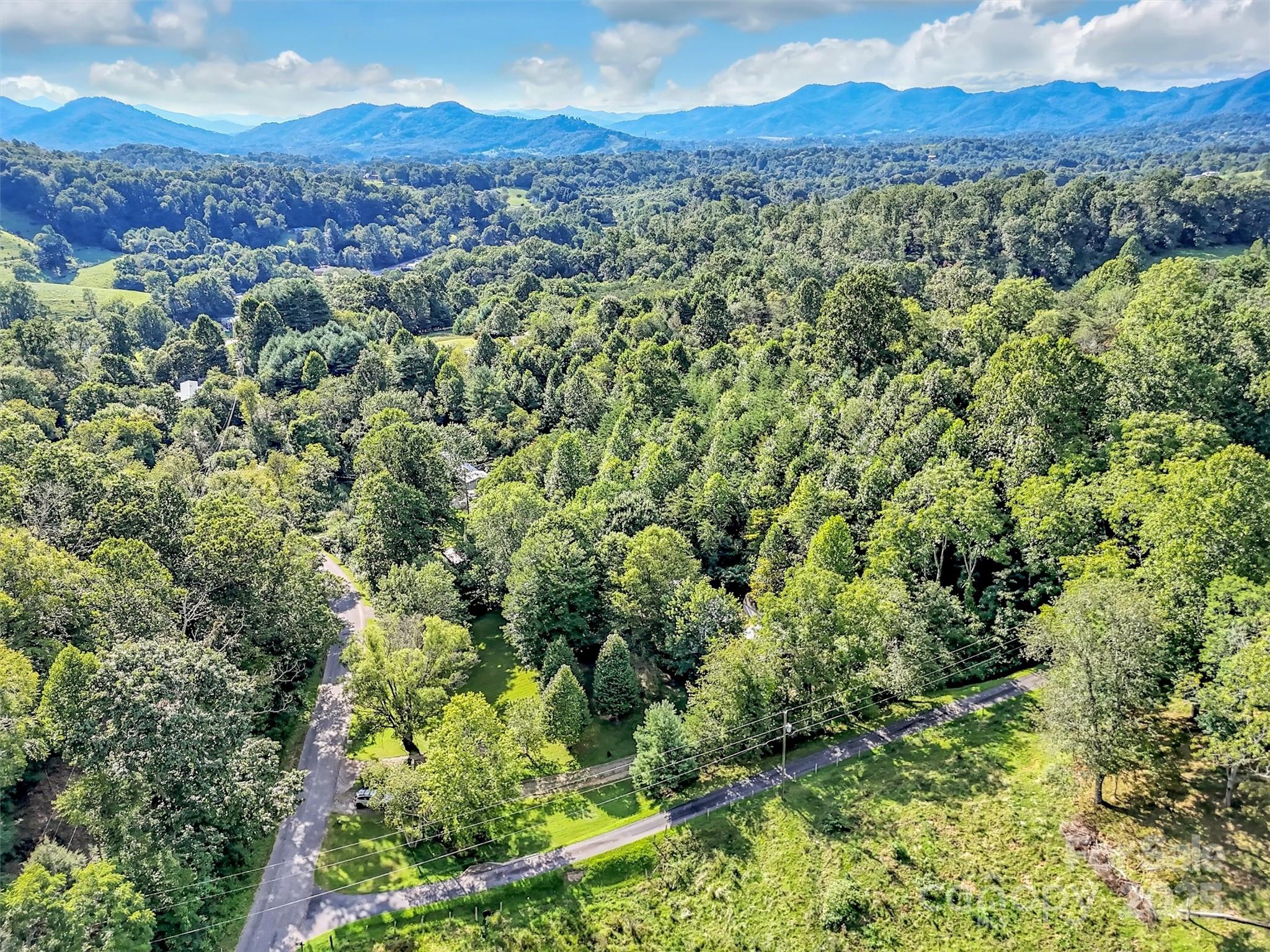 323 Jody Cove Road Canton, NC 28716 - Photo 7 of 28