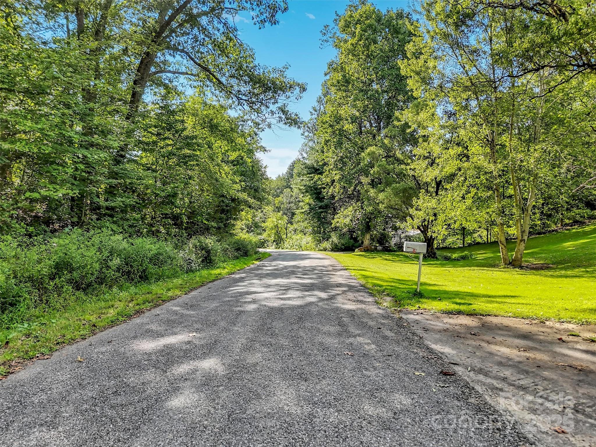 323 Jody Cove Road Canton, NC 28716 - Photo 9 of 28