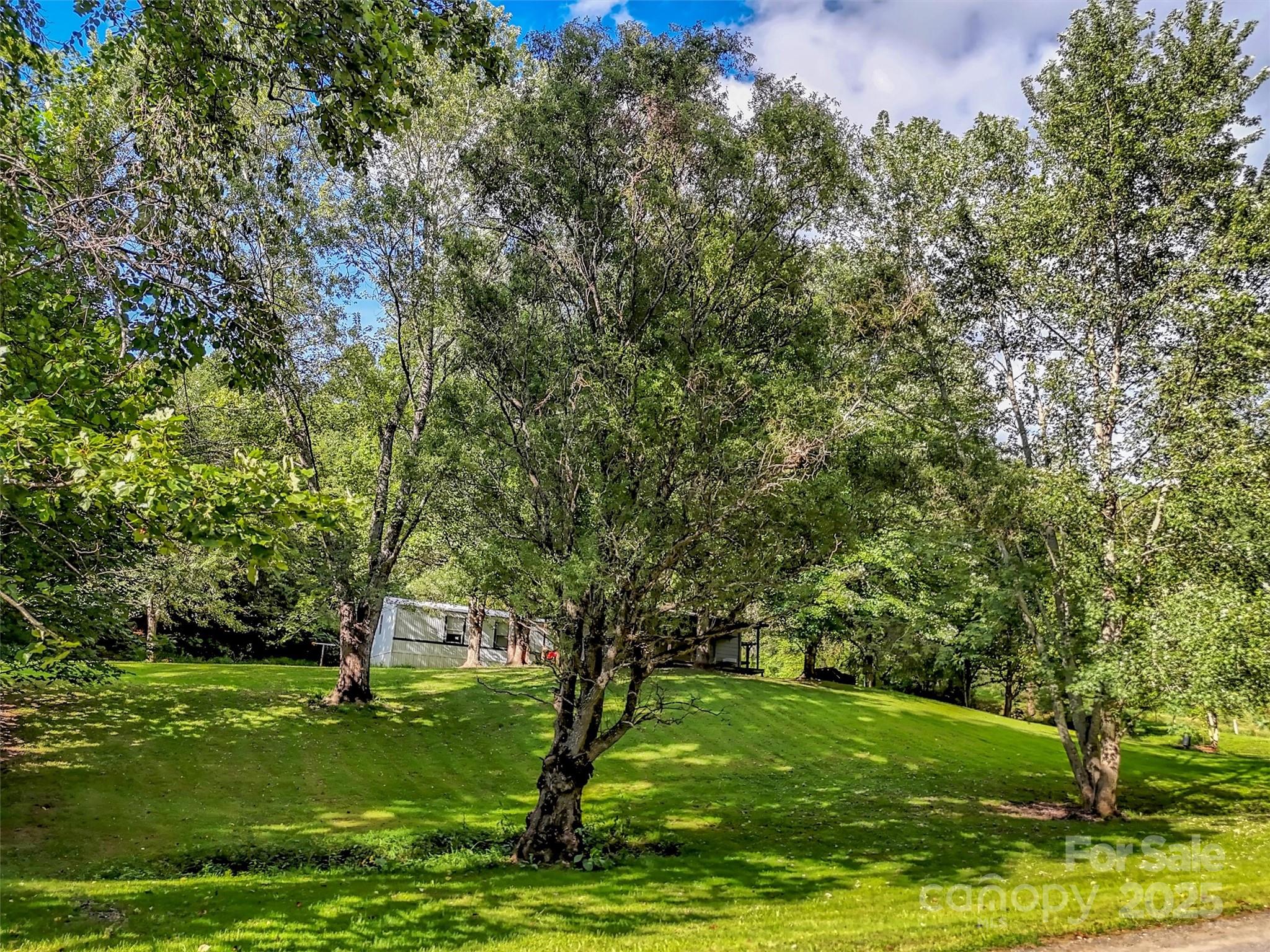 323 Jody Cove Road Canton, NC 28716 - Photo 10 of 28