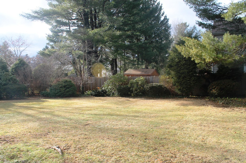 7 South Street Needham, MA 02492 - Photo 3 of 5 Gallery Image 3