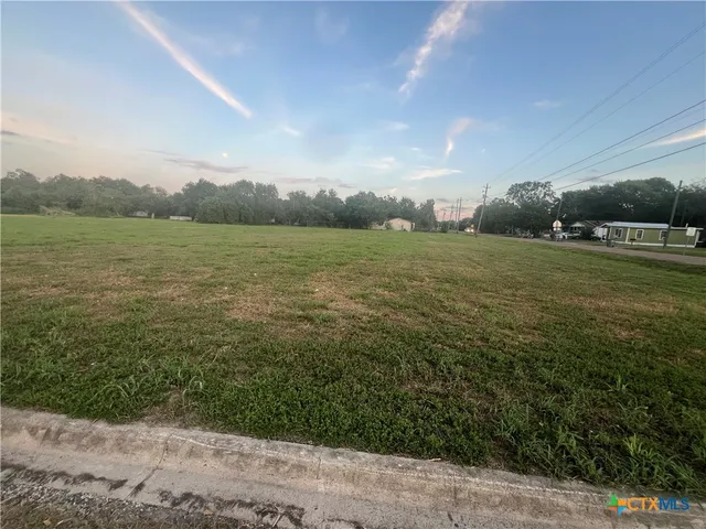 a view of a grassy field with trees