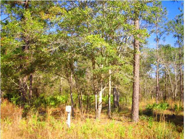 Lot 9 Bay Grove Road Freeport, FL 32439 - Photo 3 of 6