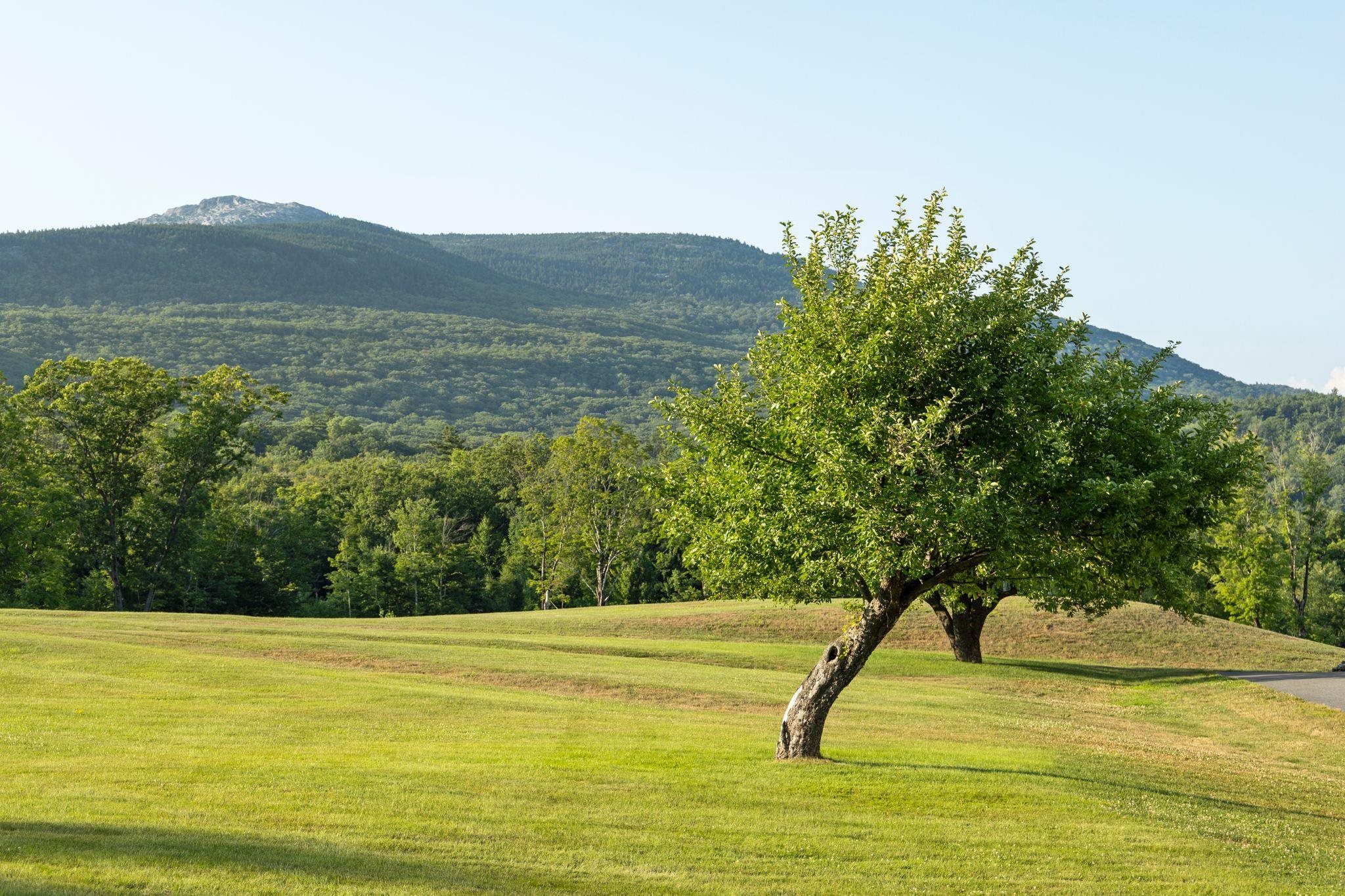 580 Mountain Road Jaffrey, NH 03452 - Photo 39 of 40