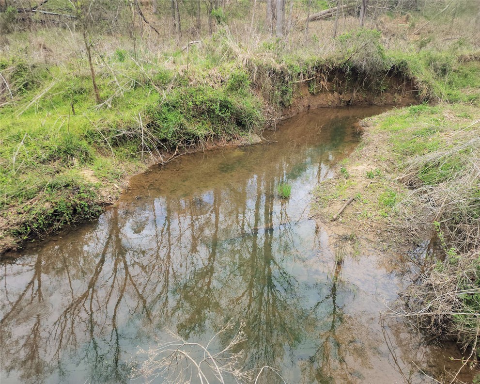 0 Boyds Mill Pond Road Laurens, SC 29360 - Photo 12 of 16