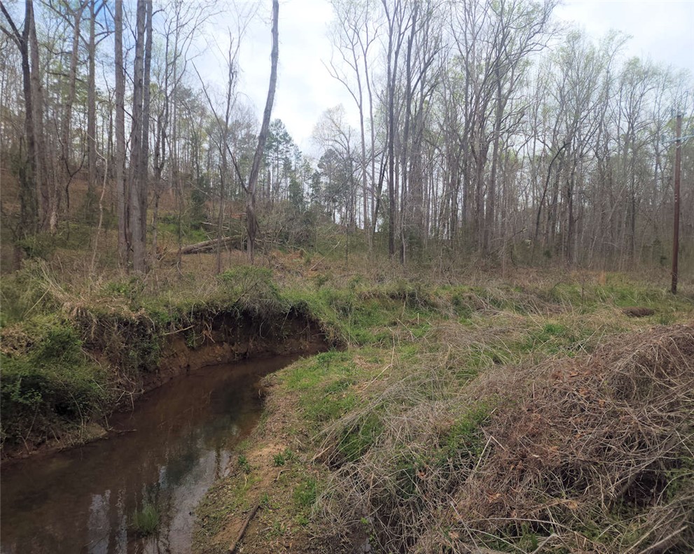 0 Boyds Mill Pond Road Laurens, SC 29360 - Photo 13 of 16