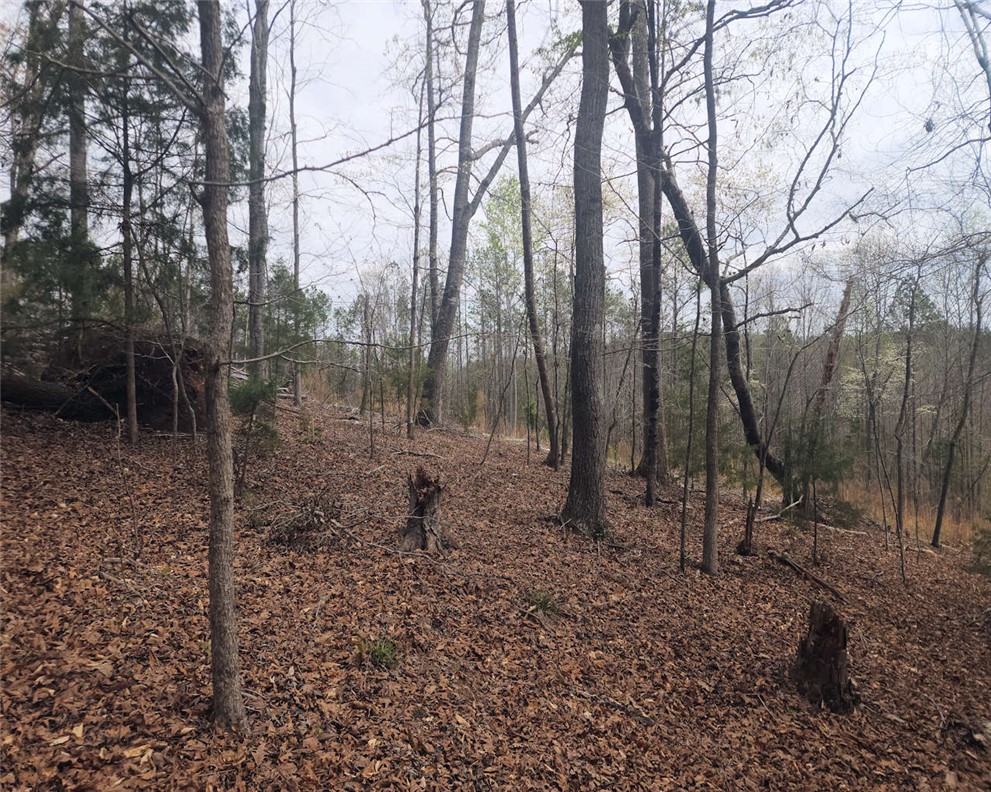 0 Boyds Mill Pond Road Laurens, SC 29360 - Photo 15 of 16