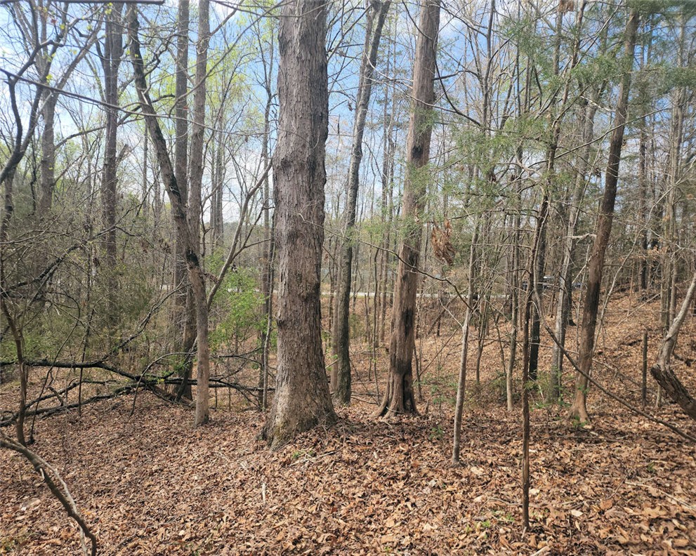 0 Boyds Mill Pond Road Laurens, SC 29360 - Photo 16 of 16