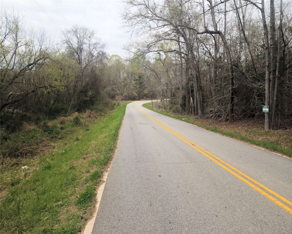 0 Boyds Mill Pond Road Laurens, SC 29360 - Photo 5 of 16