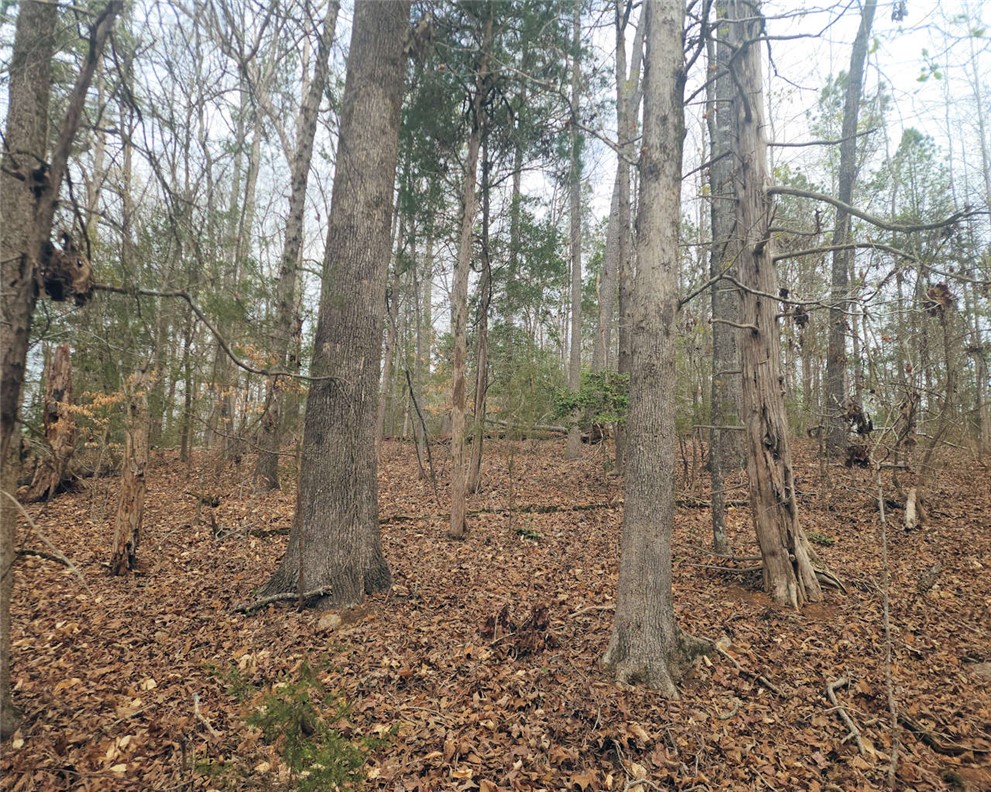 0 Boyds Mill Pond Road Laurens, SC 29360 - Photo 6 of 16