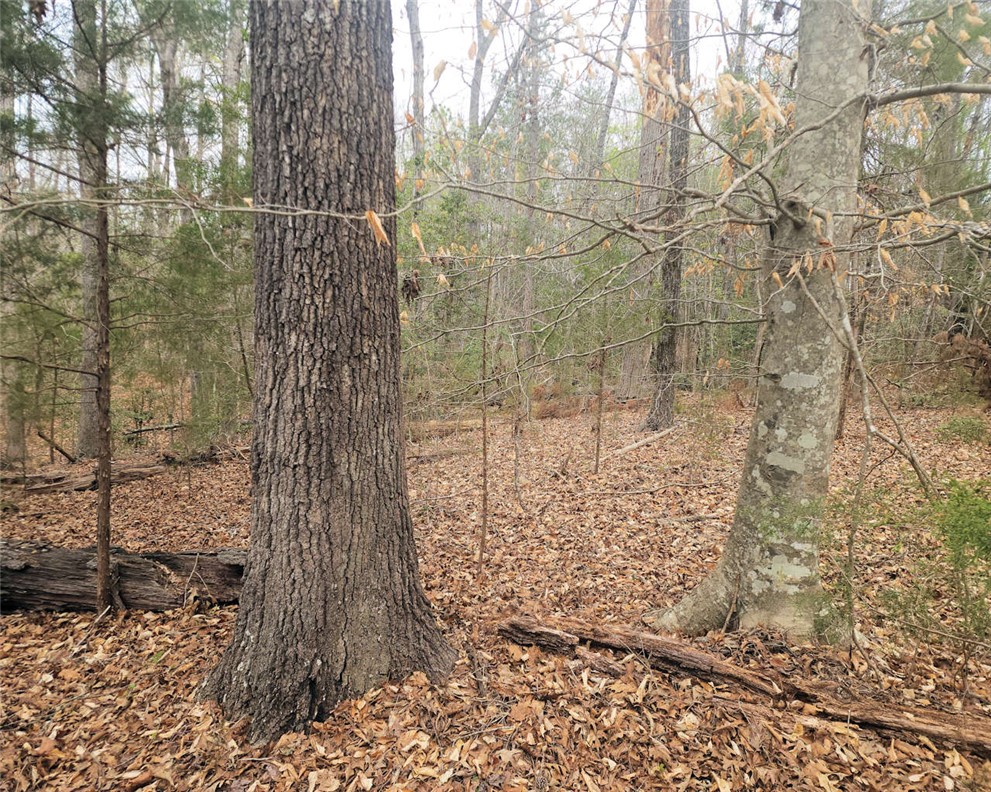 0 Boyds Mill Pond Road Laurens, SC 29360 - Photo 7 of 16