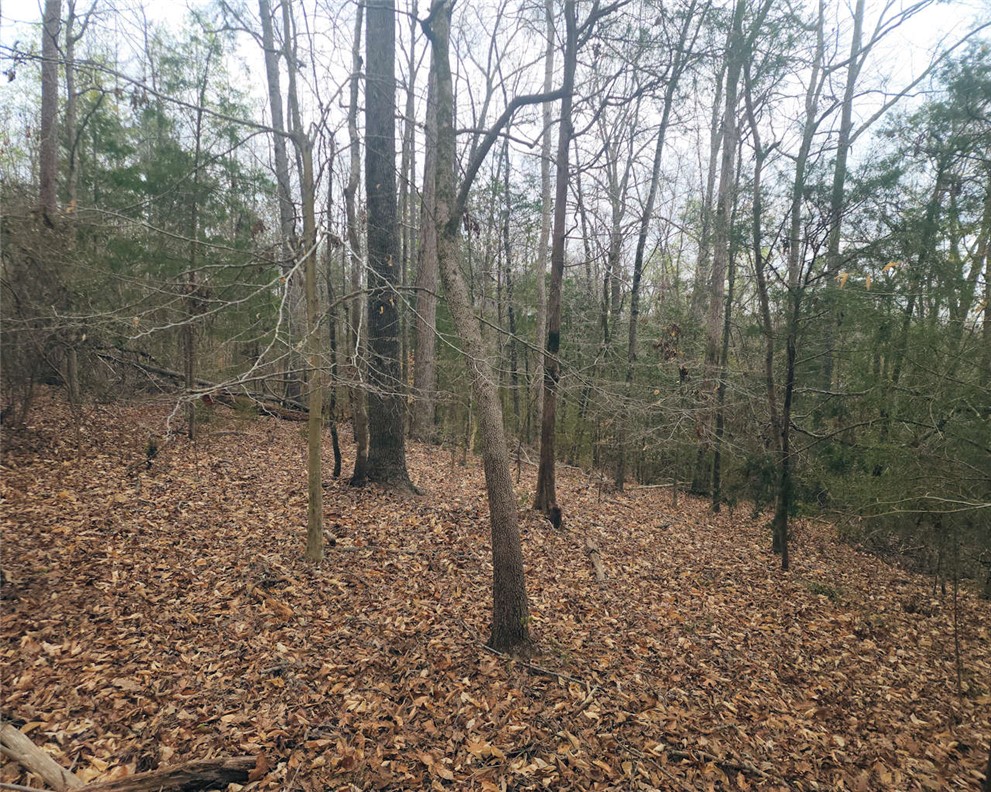 0 Boyds Mill Pond Road Laurens, SC 29360 - Photo 8 of 16