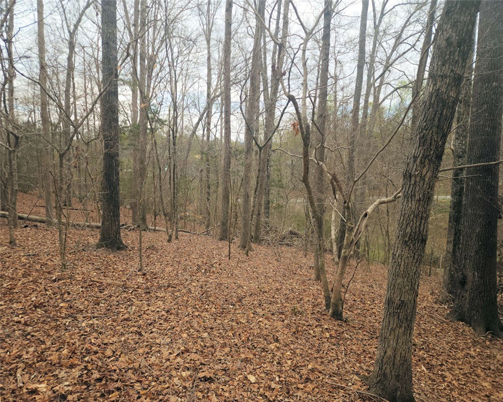 0 Boyds Mill Pond Road Laurens, SC 29360 - Photo 9 of 16