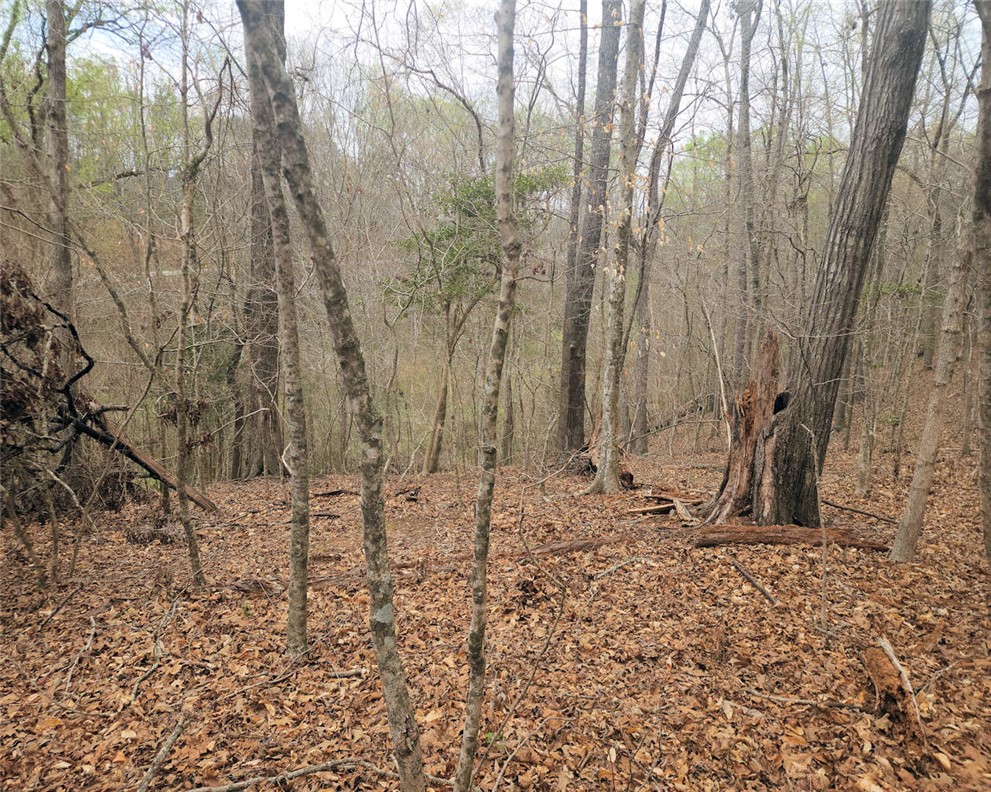 0 Boyds Mill Pond Road Laurens, SC 29360 - Photo 10 of 16