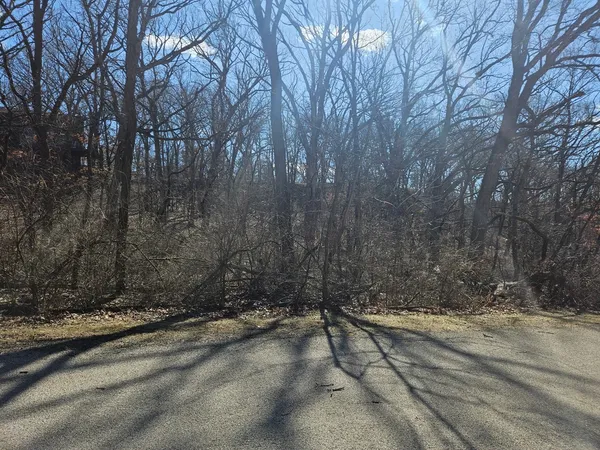 a view of dirt yard and a large tree