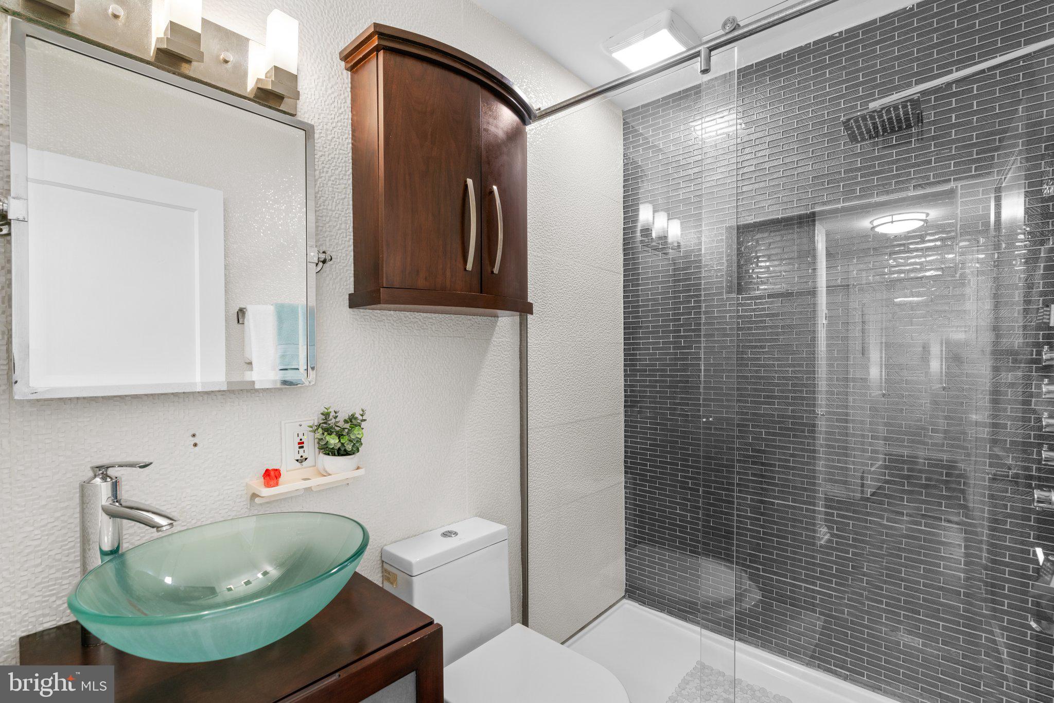 1605 Gridley Lane Silver Spring, MD 20902 - Photo 26 of 42 Remodeled Spa Like Bathroom with body jets