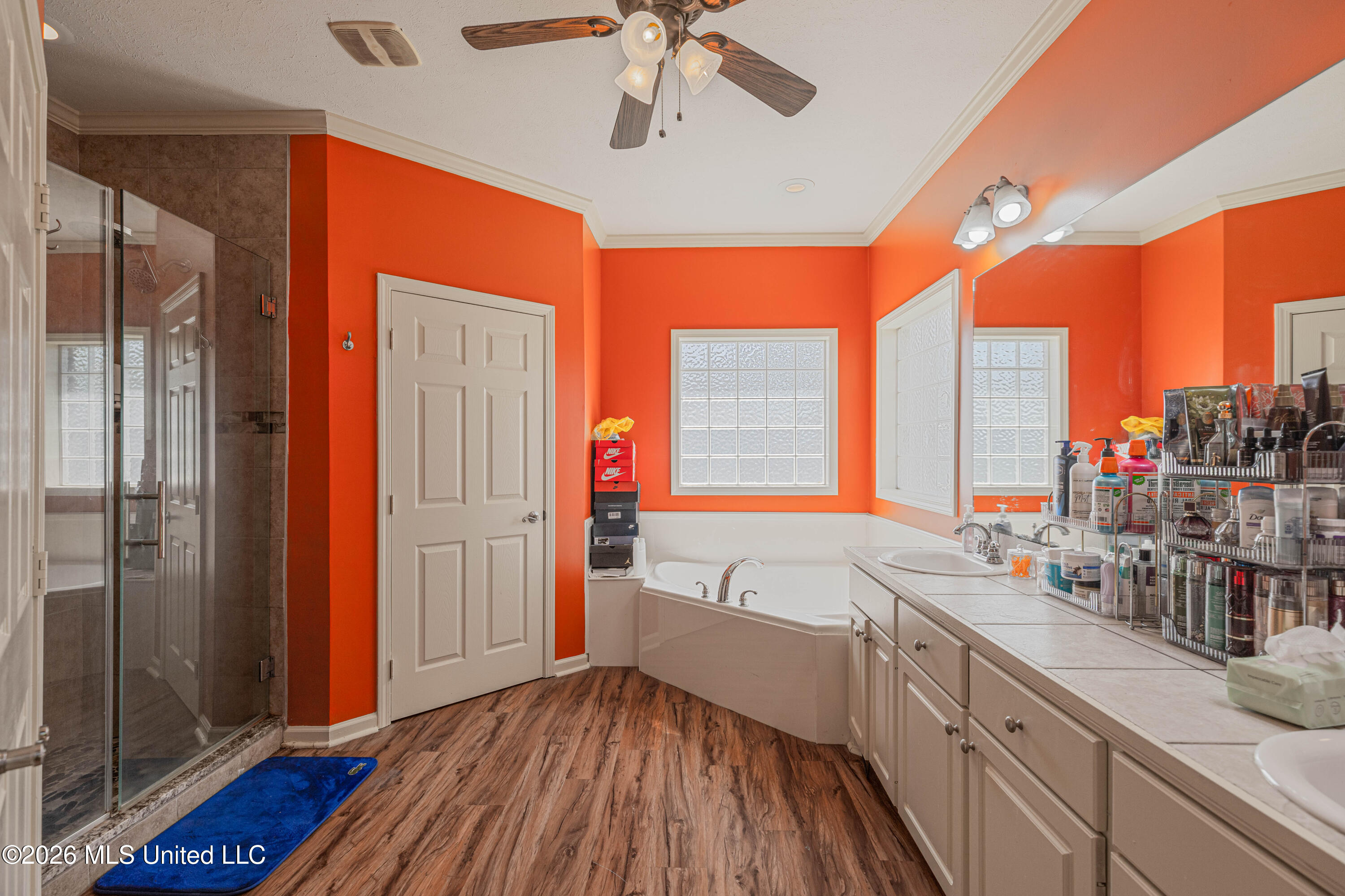 301 Springhill Point Brandon, MS 39047 - Photo 25 of 46 IMG_7858-Edit