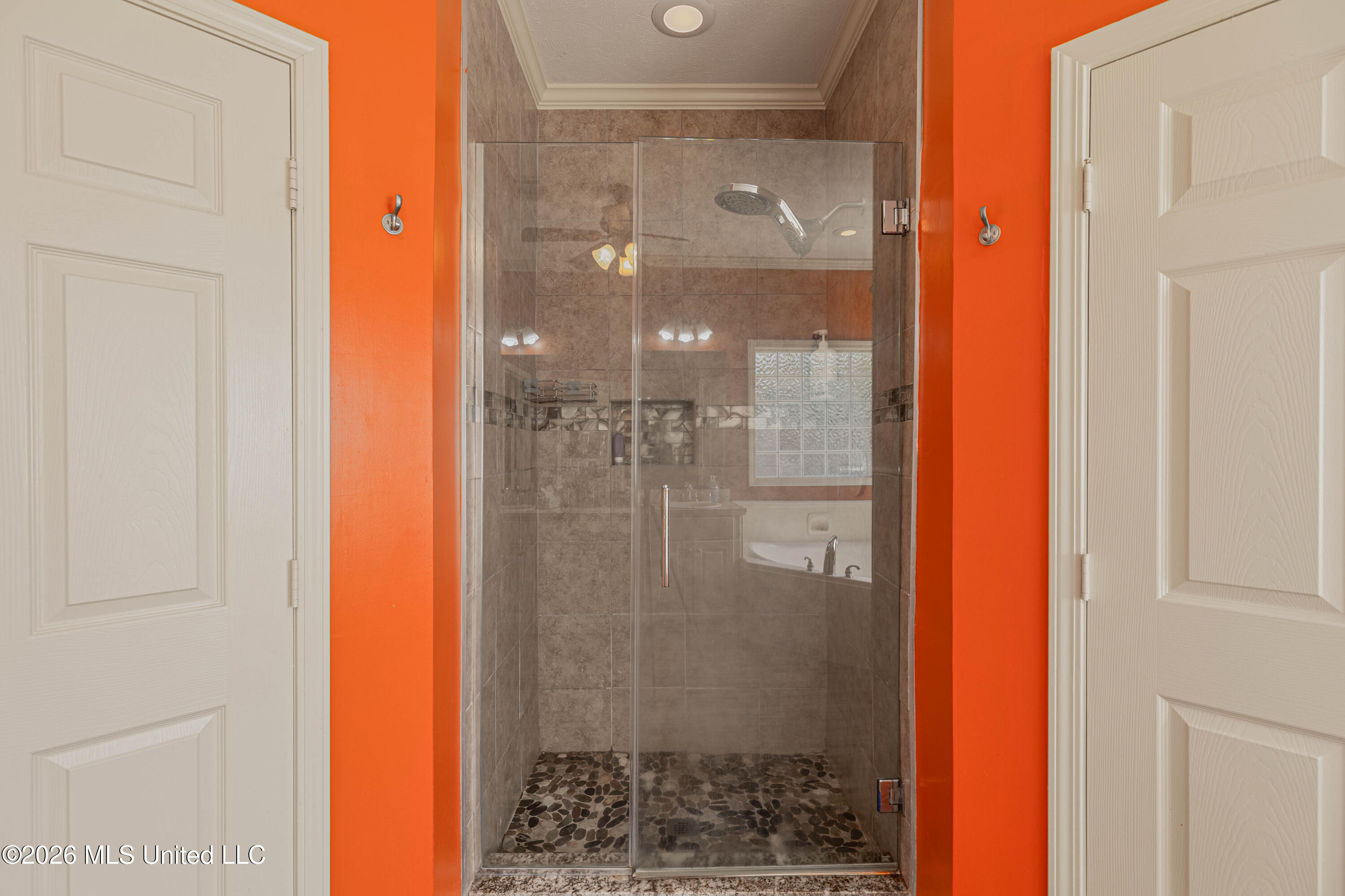 301 Springhill Point Brandon, MS 39047 - Photo 27 of 46 IMG_7864-Edit