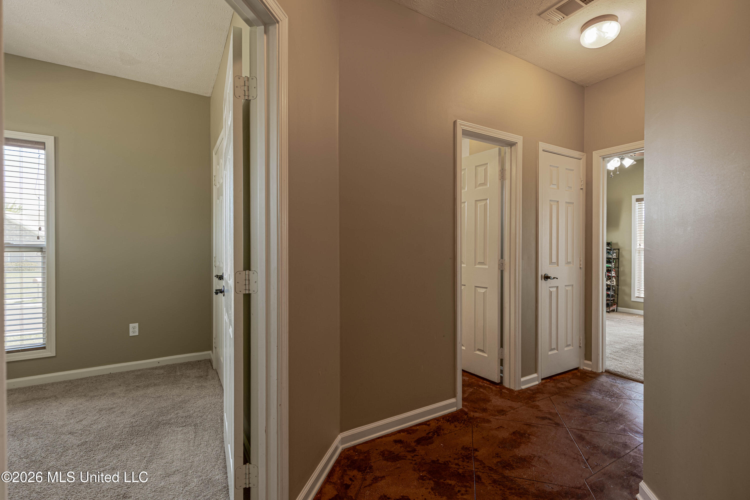 301 Springhill Point Brandon, MS 39047 - Photo 33 of 46 IMG_7882-Edit