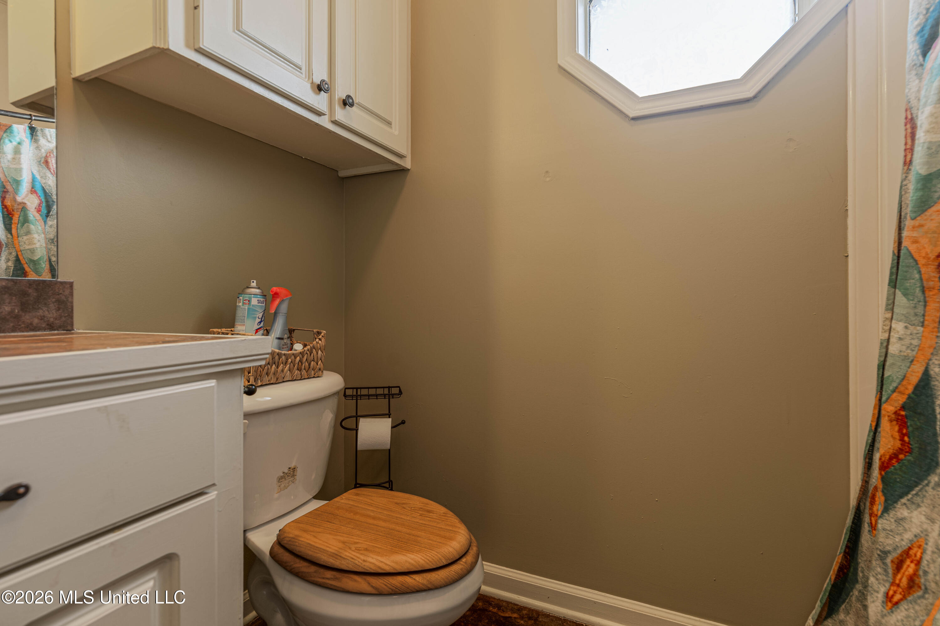 301 Springhill Point Brandon, MS 39047 - Photo 38 of 46 IMG_7897-Edit