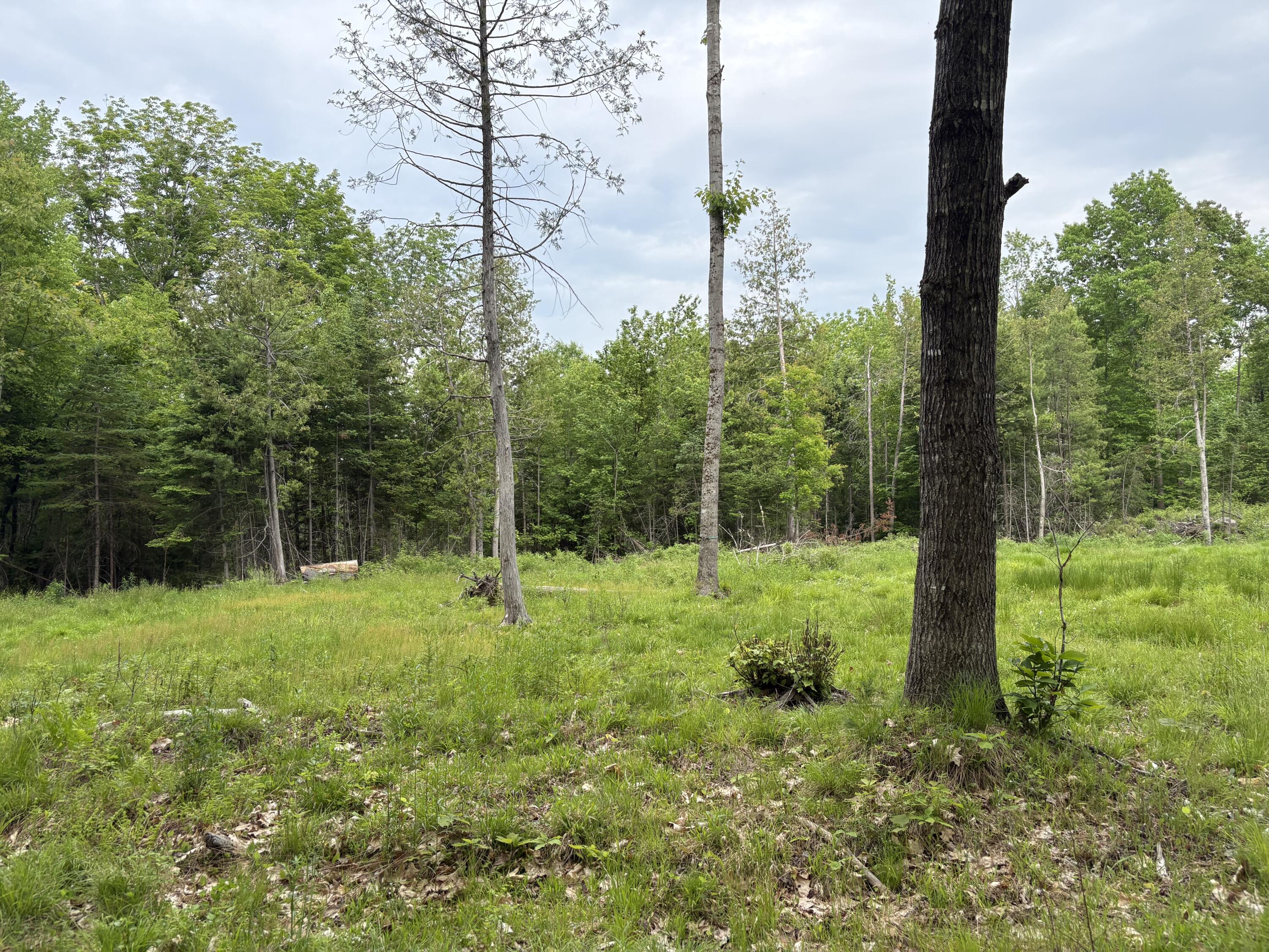 22 Back Parkman Road Abbot, ME 04406 - Photo 20 of 38