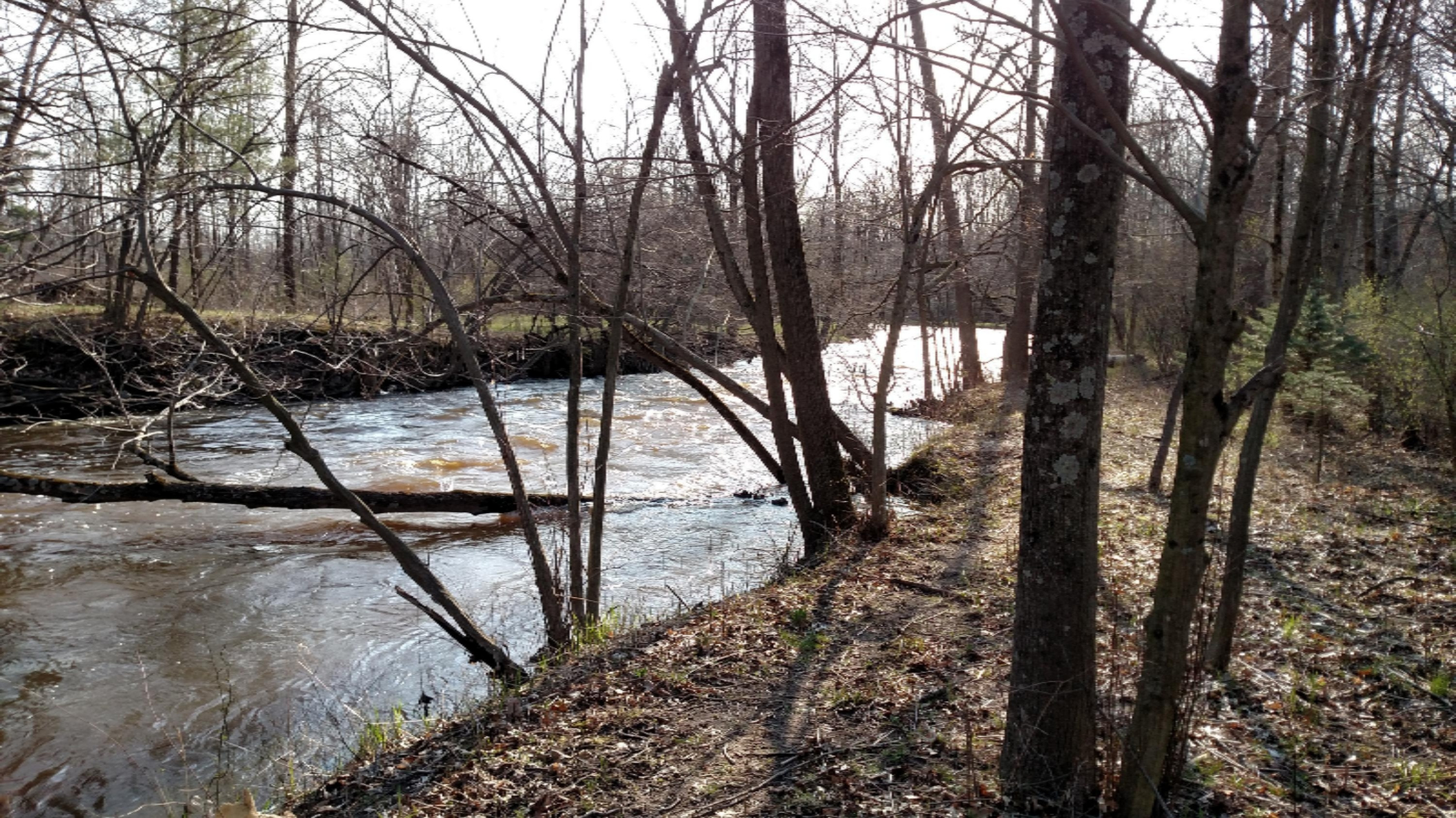 Par A Prairie Creek Road Ionia, MI 48846 - Photo 5 of 18 IMG_20170412_174913698