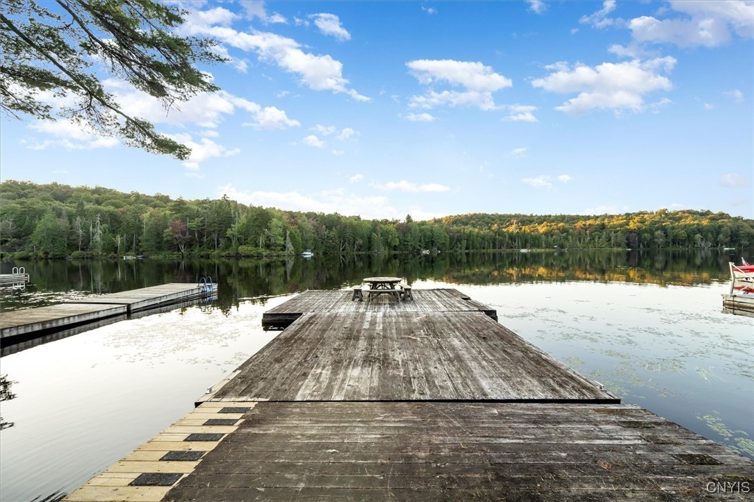 99 Twitchell Inn Road Webb, NY 13331 - Photo 28 of 48