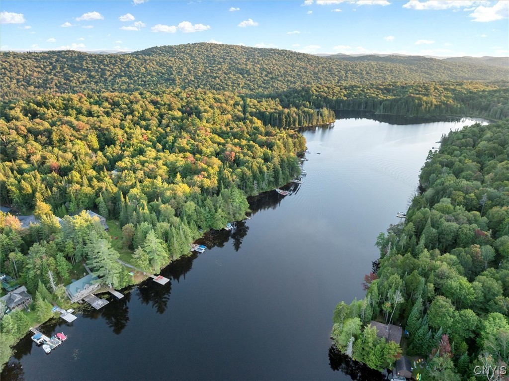 99 Twitchell Inn Road Webb, NY 13331 - Photo 36 of 48