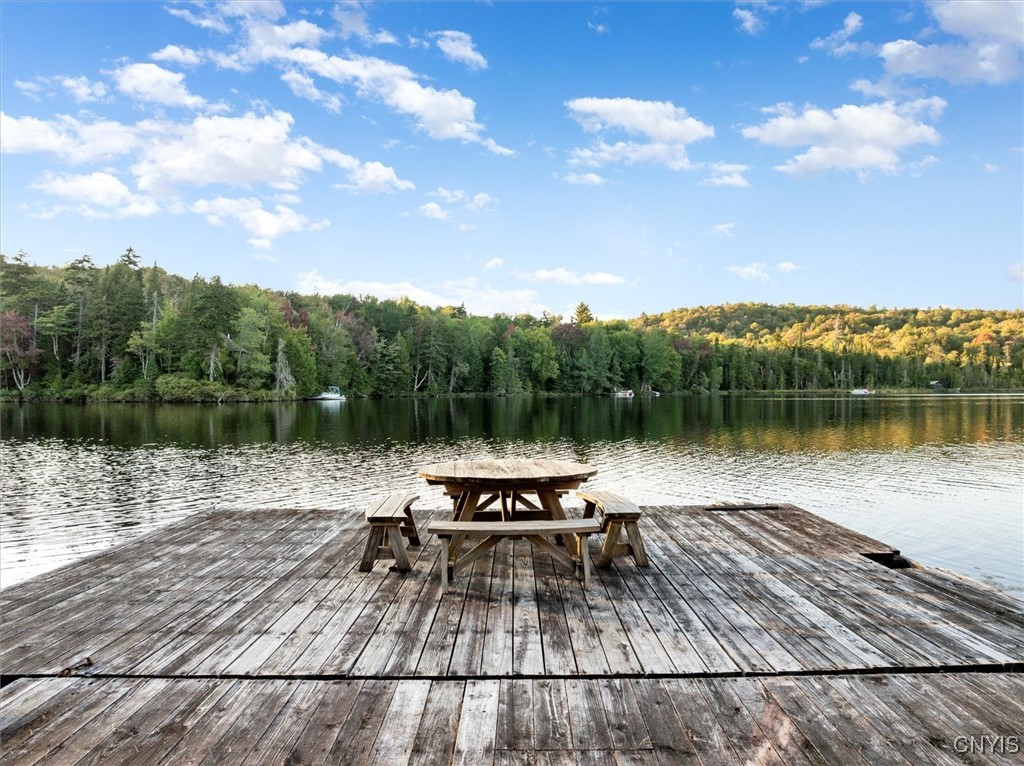 99 Twitchell Inn Road Webb, NY 13331 - Photo 5 of 48