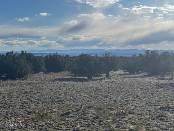 $32,900 | Lot 215 Woodland Valley Ranch, Unit 215, St. Johns, AZ 85936