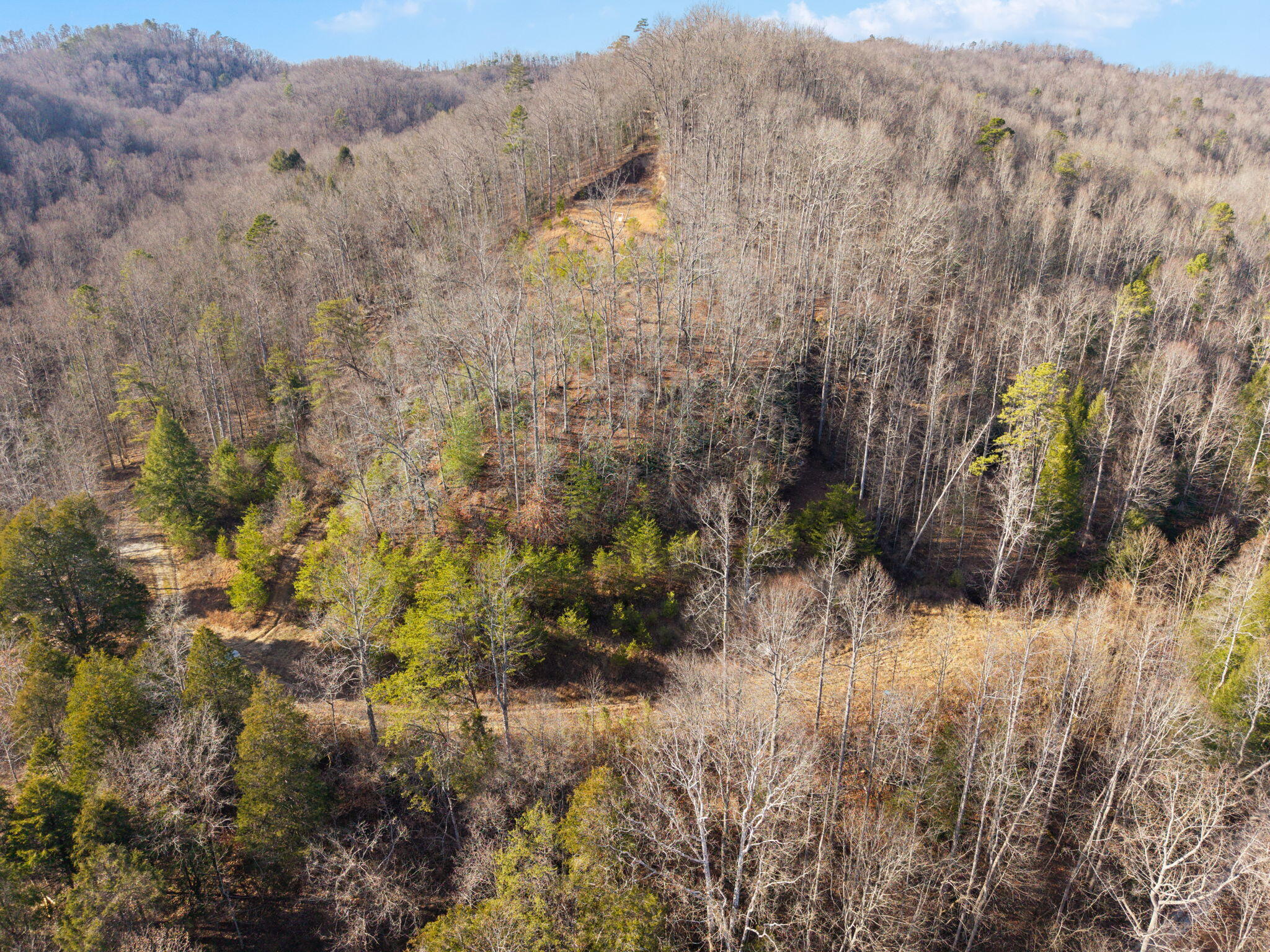 22 Still Hand Zoe, KY 41397 - Photo 68 of 76 86-web-or-mls-DJI_20260107142445_0087_D
