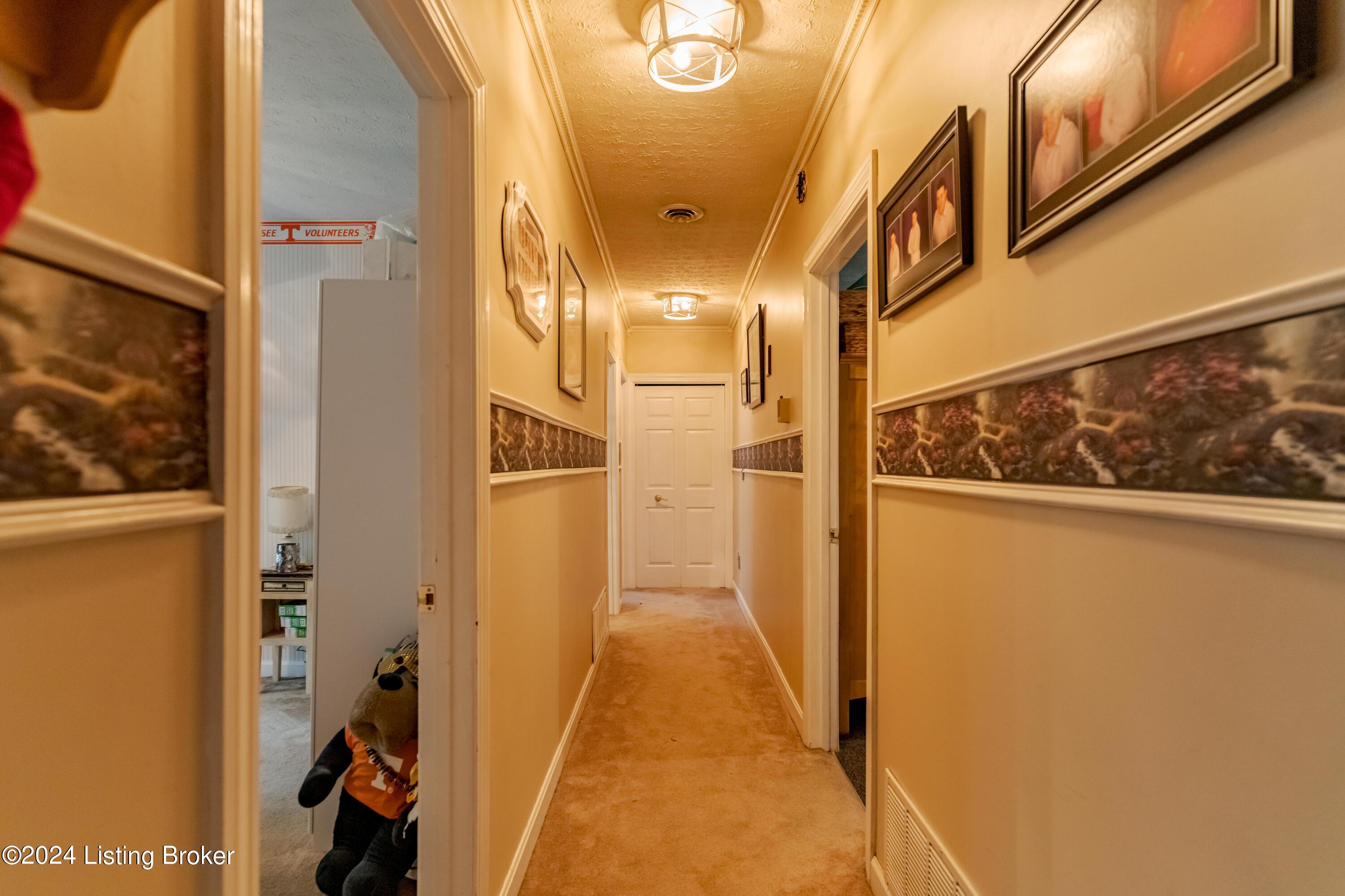 300 Ferncliff Road Brandenburg, KY 40108 - Photo 51 of 94 DSC09193